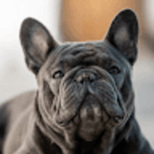 Meet your Posher,  W